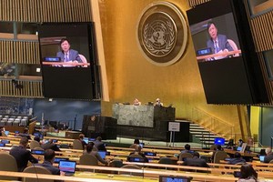 鄧廷貴大使在會議上介紹決議內容。（圖源：越通社）