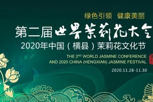 第二屆世界茉莉花大會宣傳海報。（圖源：互聯網）