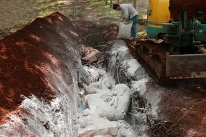 平福省職能力量將感染非洲豬瘟死亡的豬隻按規定進行燒毀。（圖源：VOV）
