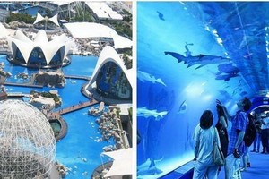 西班牙瓦倫西亞市中心的水族館。（圖源：互聯網）
