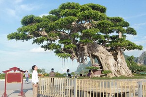 （示意圖源：互聯網） 