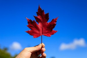 （示意圖源：互聯網） 