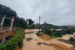 事發地點。（圖源：碧蓮）