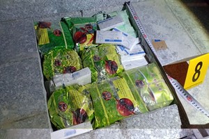 毒品精密地隱藏在花崗石塊之中。