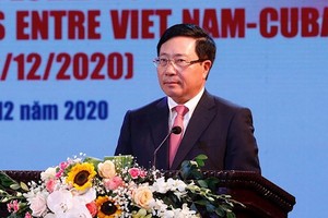 政府副總理、外交部長范平明在集會上致詞。（圖源：VGP）