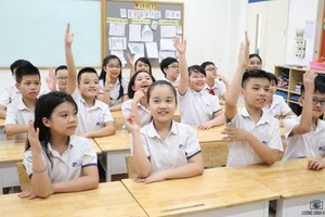 （示意圖源：水竹） 