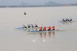 2020年全國皮划艇盃划船賽一瞥。（圖源：越通社）