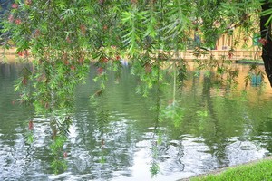 （示意圖源：互聯網） 