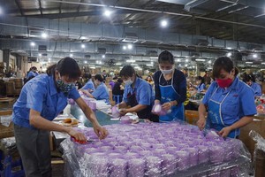 （示意圖源：互聯網） 