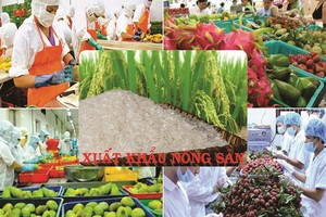 （示意圖源：互聯網） 