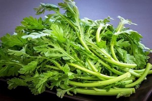 天冷必吃的某菜