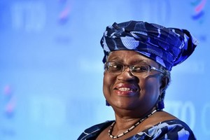 尼日利亞候選人恩戈齊·奧孔喬-伊韋阿拉。（圖源：Getty Images）