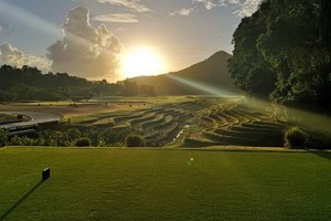 Laguna度假村種植稻穀在收成後撥出部分贈予清貧戶。（圖源：互聯網）