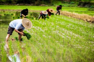 （示意圖源：互聯網） 