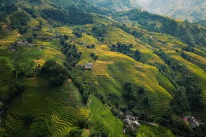 圖為獨特美景的沙巴山區。（圖源：Agoda）