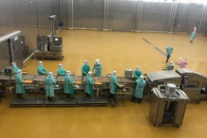 CPV Food 公司於日前正式投入運營東南亞最大雞肉加工廠組合。（圖源：清海）