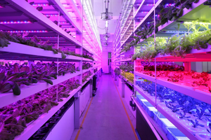 因應香港土地供應緊張，綠芝園使用“多層式垂直種植結構”， 實行魚菜共生生態循環。