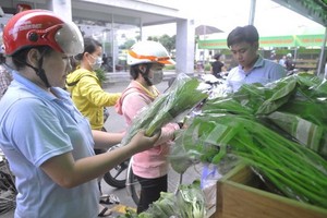 守德郡勞工在出口加工區移動售賣處購物。