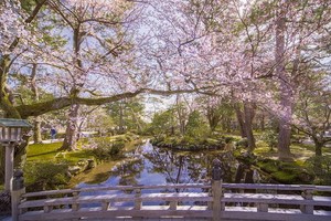 夜燈下的奇幻色彩！日本三大名園——兼六園的秋與冬！