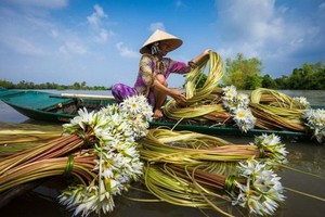 （示意圖源：互聯網） 