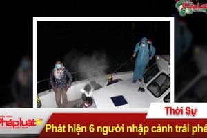 河仙國際口岸邊防哨所2日晚間發現６人從柬埔寨非法入境我國。（圖源：視頻截圖）