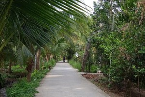 事發地點。（圖源：VOV）