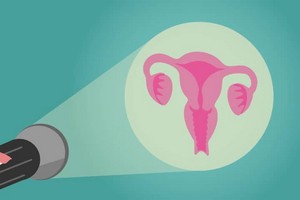 （示意圖源：互聯網） 