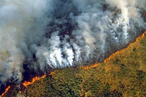 2020年，巴西亞馬遜地區發生10萬3000多起火災，比上一年增加近16%。（圖源：互聯網）