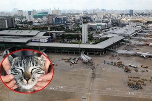 （示意圖源：互聯網） 