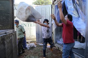 （圖源：娟劉）