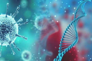 （示意圖源：互聯網） 