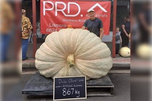 奧利弗與自己培育的南瓜冠軍合照。（圖源：互聯網）