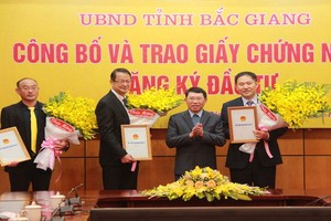 北江省領導向各外國投資商頒發證書。（圖源：北江報）