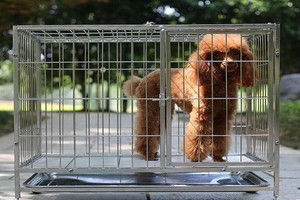 （示意圖源：互聯網） 