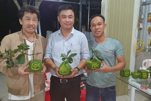 今年春節上市造型獨特的水果。