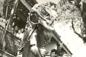 當年，由劉浩良師傅（已故）創出《迭上迭羅漢》的特色節目等。 