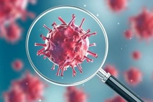 （示意圖源：互聯網） 