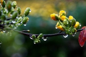 （示意圖源：互聯網） 