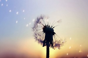 （示意圖源：互聯網） 