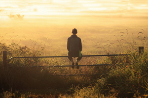 （示意圖源：互聯網） 