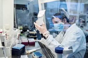 丹麥奧爾堡大學研究人員上月分析了新冠病毒樣本中的B.1.1.7變異。（圖源：《紐約時報》）