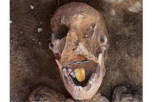 （圖源：互聯網） 