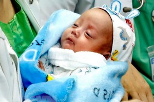 春假期間出生的寶寶。（圖源：互聯網）