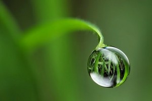 （示意圖源：互聯網） 