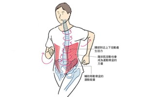 （示意圖源：互聯網） 