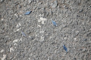 １號國道撒釘賊捲土重來