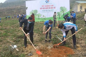 共青團員們在北坡國家特級歷史遺跡區一起出動種植樹林。（圖源：越通社）