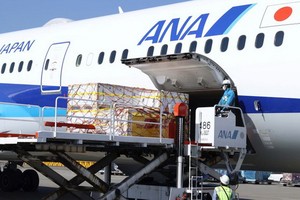 日本採購的第2批輝瑞疫苗21日由全日空（ANA）專機運輸，抵達東京成田機場。（圖源：AP）