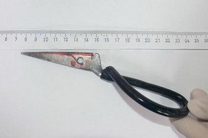 作案剪刀。（示意圖源：互聯網）