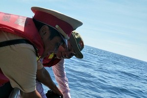 職能力量把海龜放回大海。